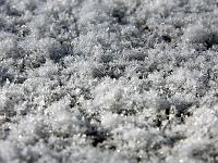 Wasser 43  Filigrane Strukturen die der Frost hinterl&auml;sst und die vom Winter zeugen, Allg&auml;uer Berghof am 10.02.2013