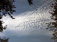 Wolken 22  Haufenwolken (Cirrocumulus) am 24.09.2011 &uuml;ber der Schw&auml;bischen Alb.