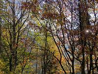 Landschaften 115  Waldb&uuml;hne in Th&uuml;ringen am 28.10.2014