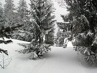 Wetterstimmungen 11  Tief verschneiter Winterwald am 19.03.2008 am Allg&auml;uer Berhof.