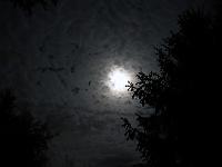 Wetterstimmungen 16  Der Mond hinter Wolken am 09.05.2014 um 22:15 auf dem Weg zum Erbe der Vampire.