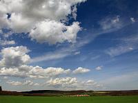 Wolken 16  Haufenwolken (Cumulus) am 03.04.2011 &uuml;ber Lonsee.